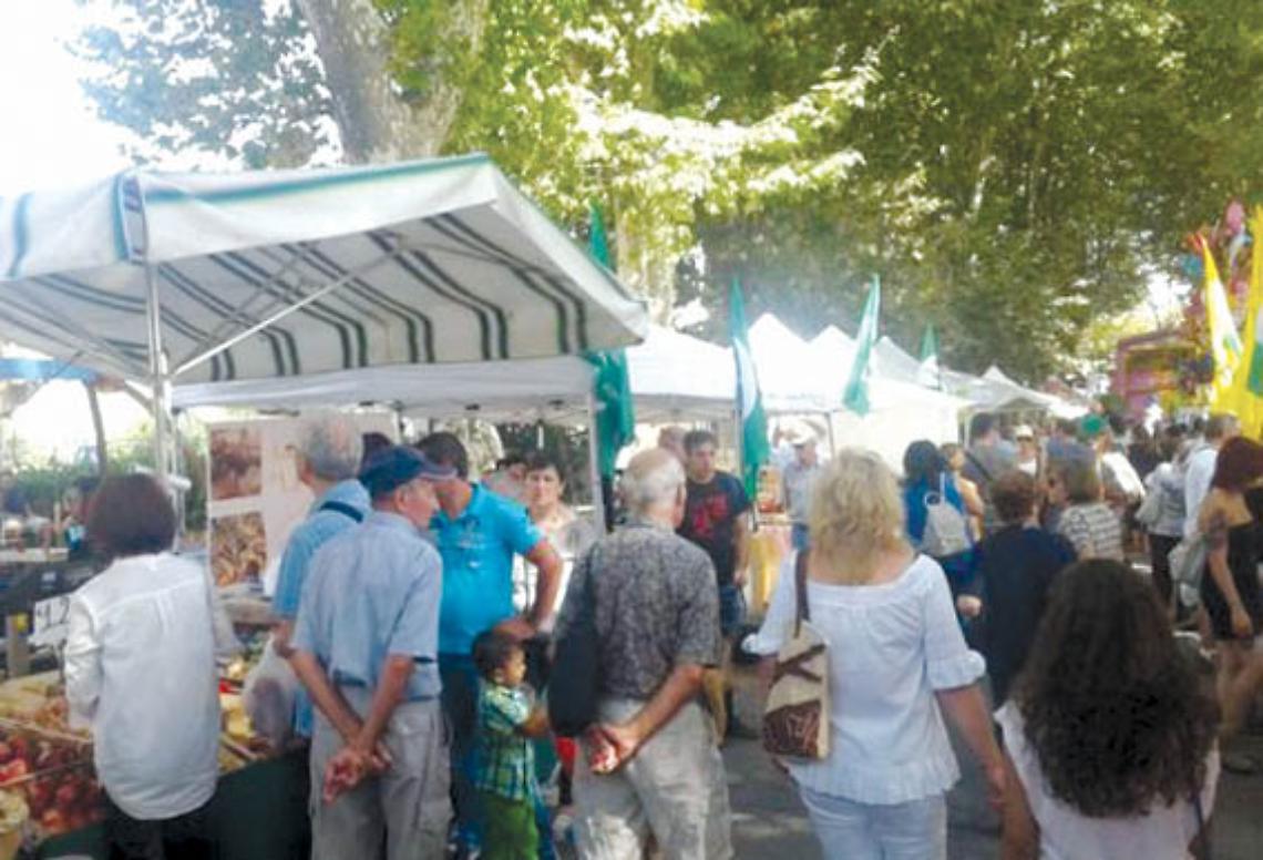 Carcare Mercato Nuovo