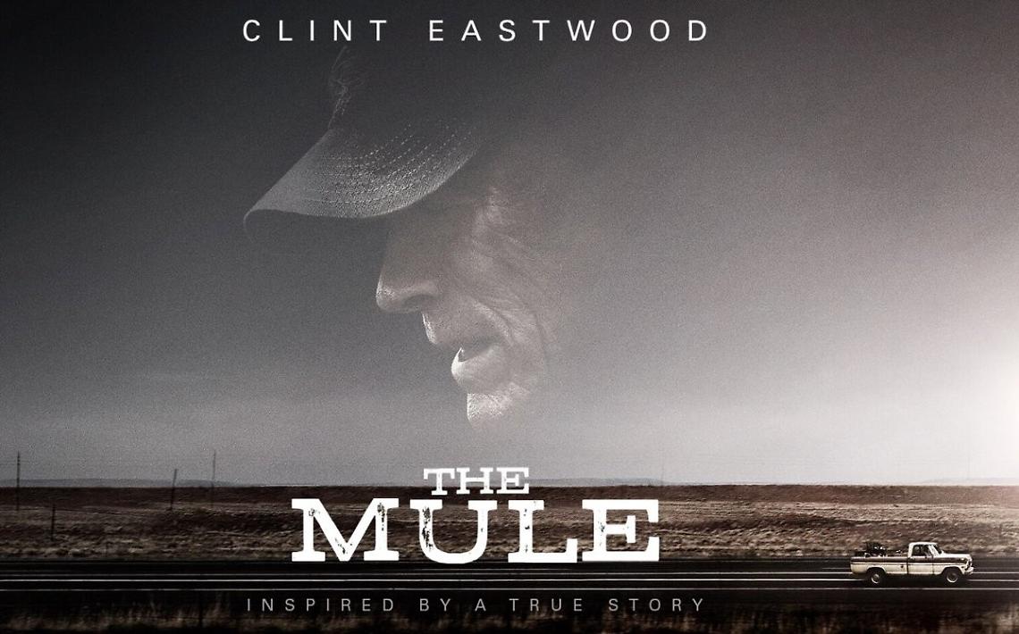 Mule20190206075511 229504 L