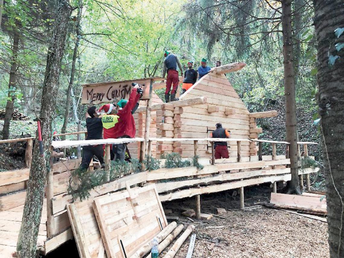 Massimino Bosco 2