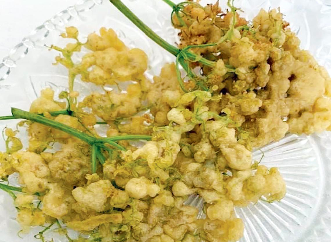 Fiori Di Sambuco In Pastella