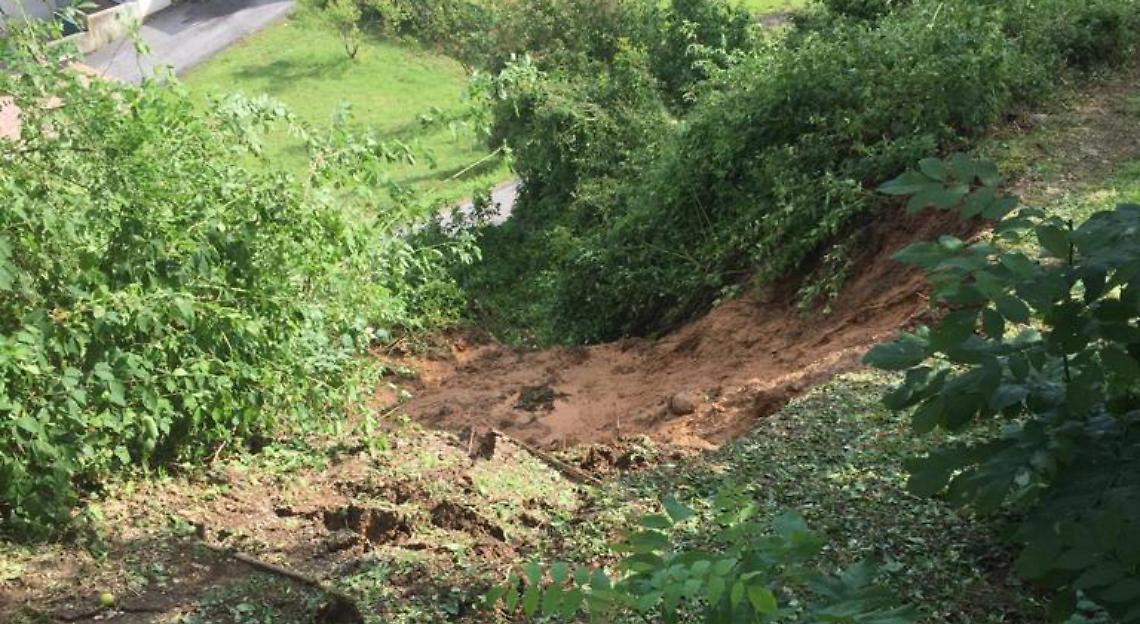 WhatsApp Image 2020 07 13 Avvvt 14.50.47