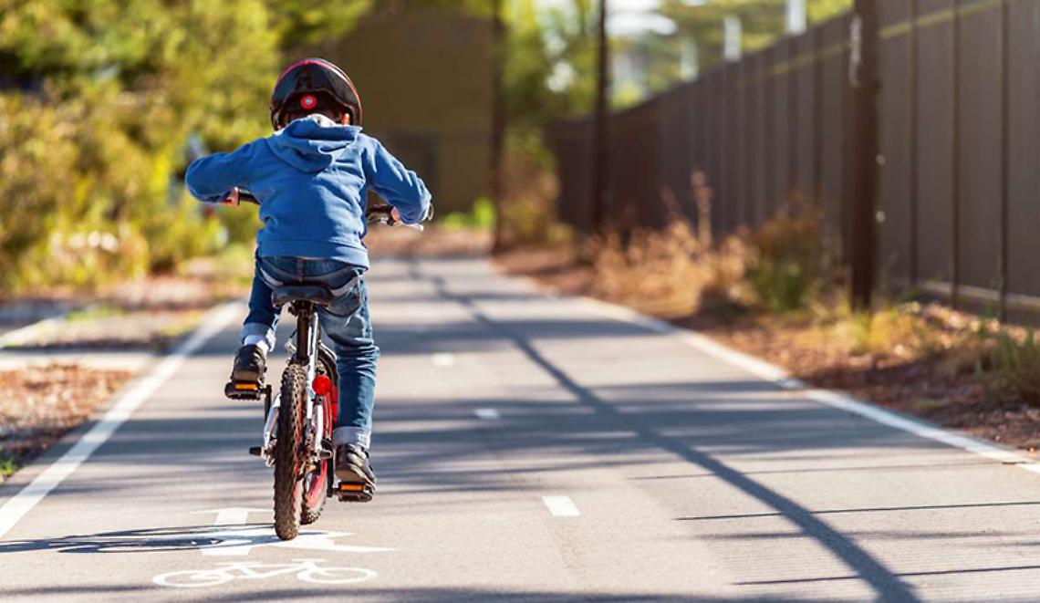 Bicicletta