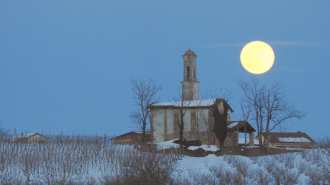 Luna Lupo Marco Aimo