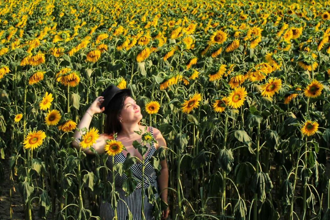 Girasoli