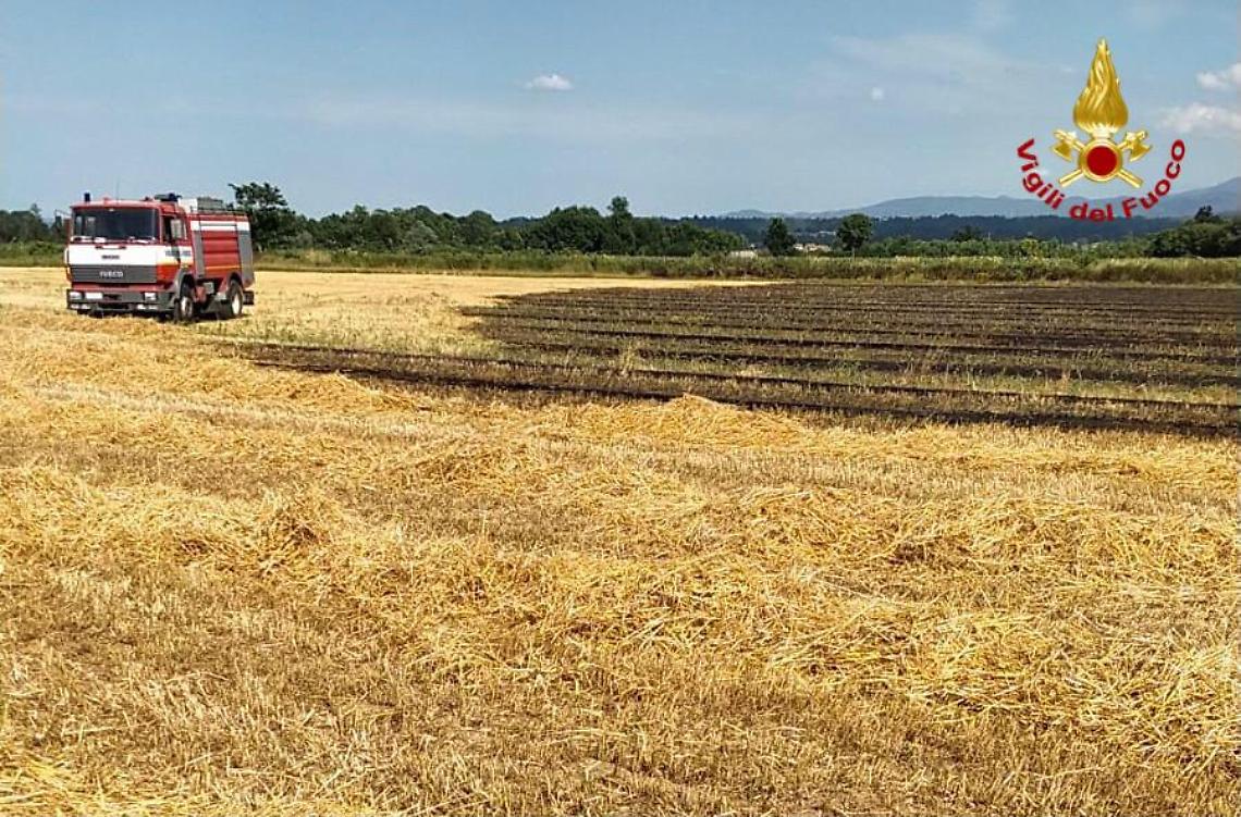 WhatsApp Image 2021 07 03 At 16.32.06 (1)