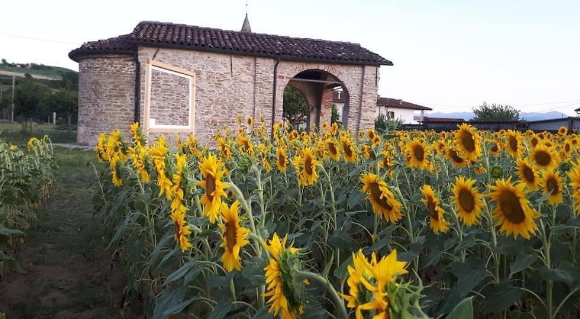 Girasoli