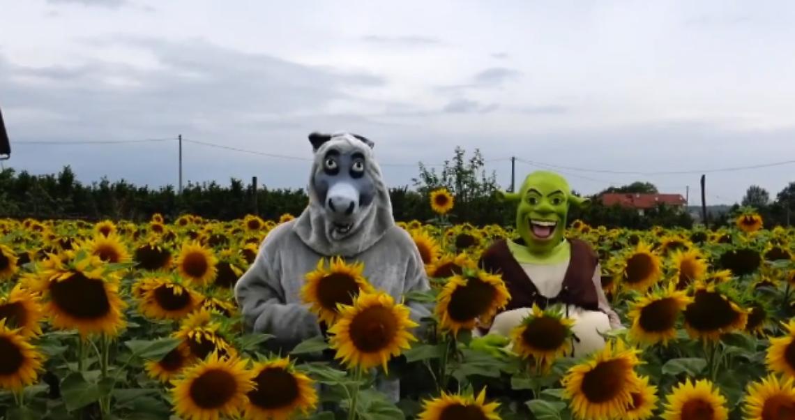 Shrek
