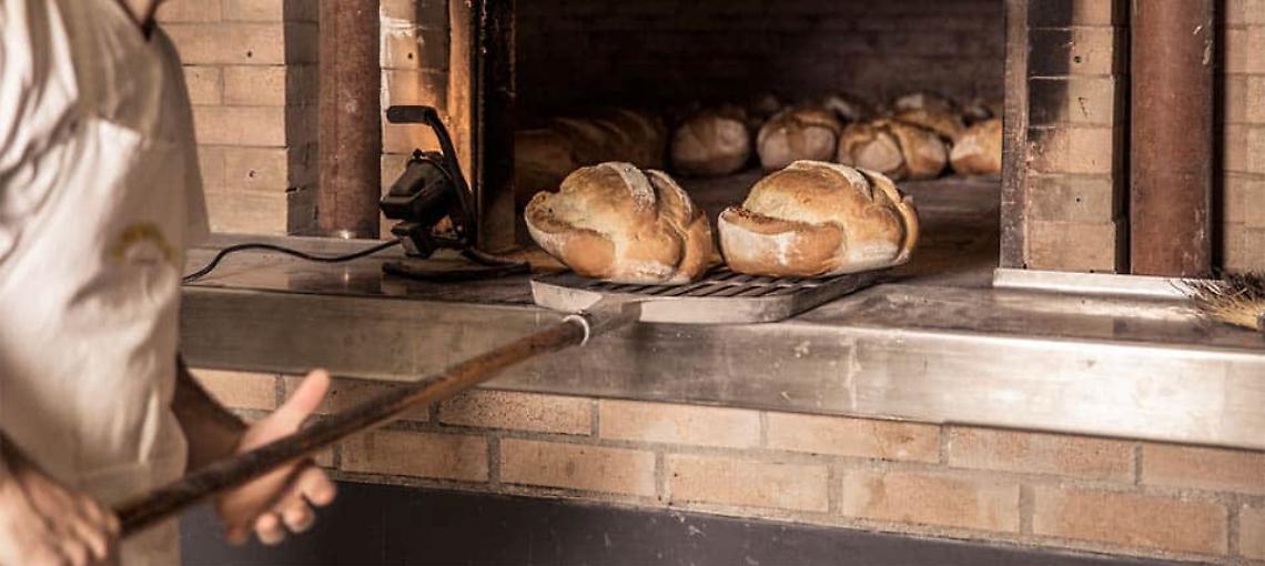 Panettiere