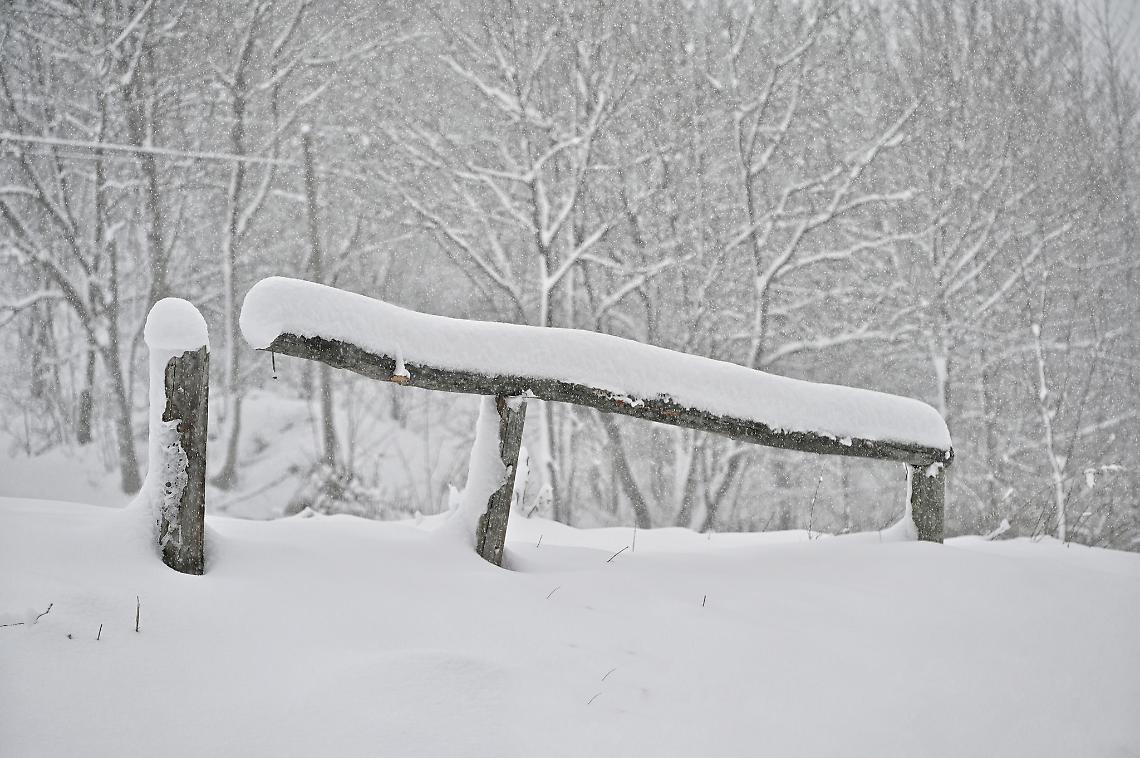Neve