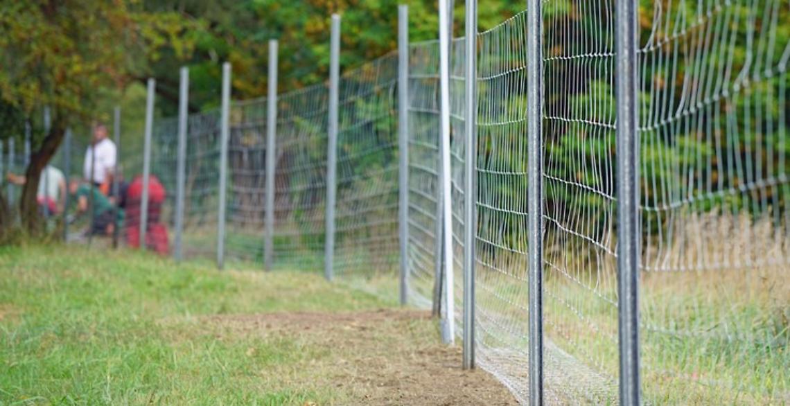 Peste Suina Recinzione