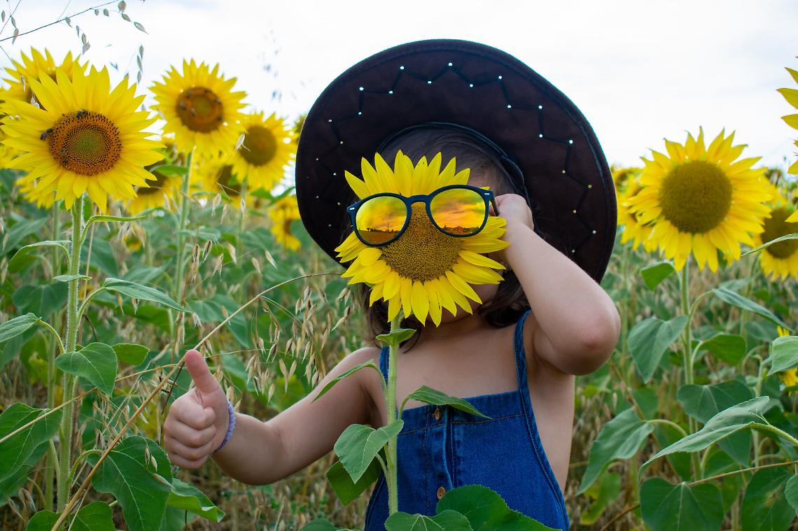 Concorso Girasoli