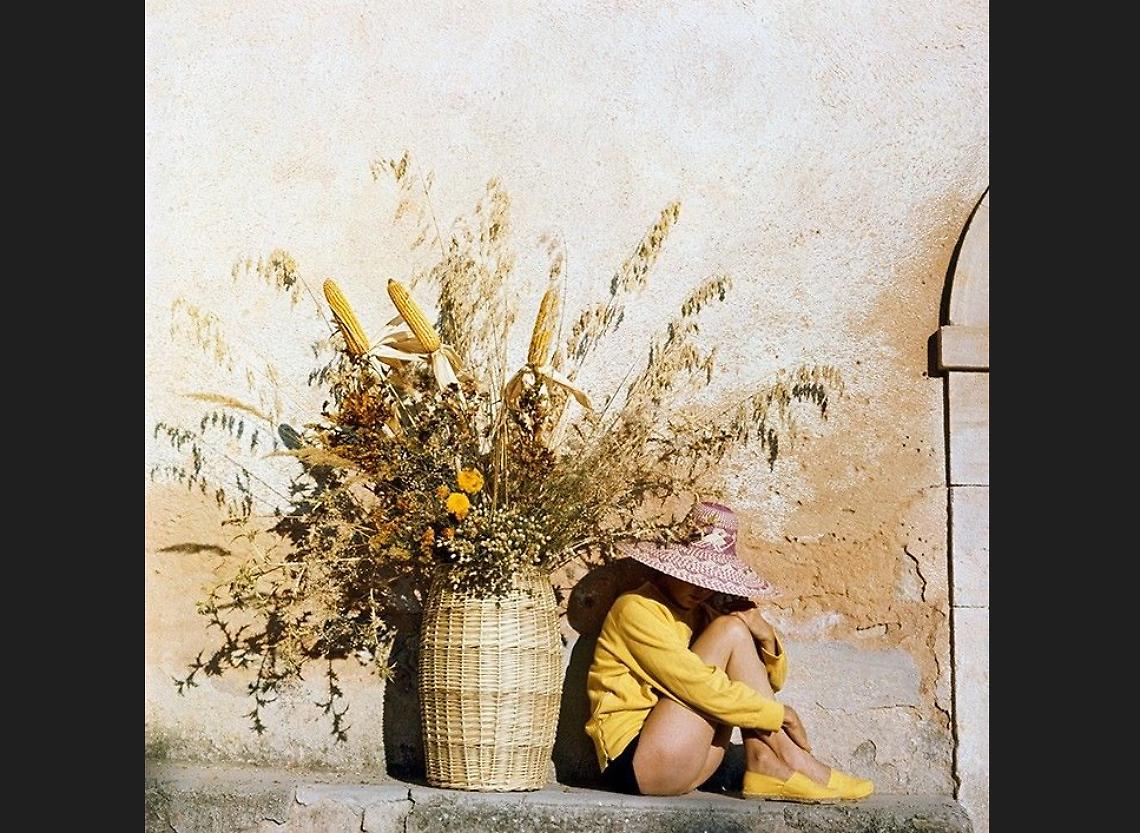 Lartigue Web