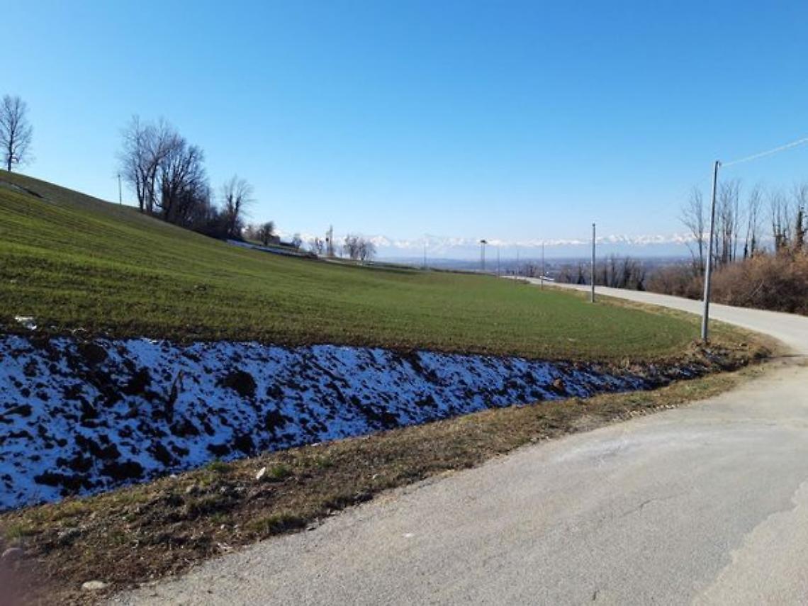Collina