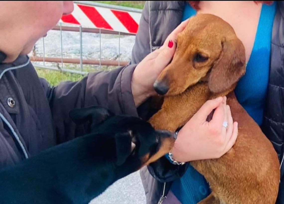 Screenshot 20230408 232100 Business Suite