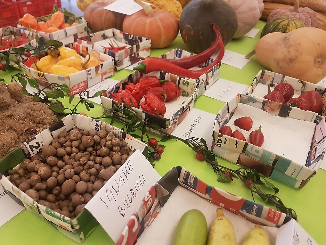 Mercatino Rocca