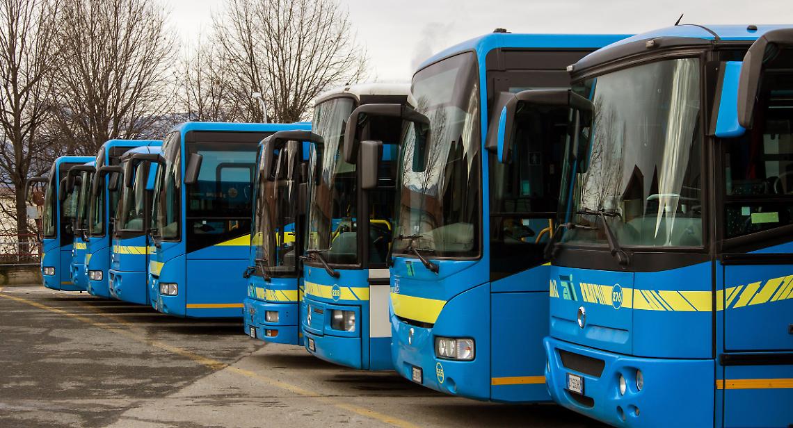 Bus