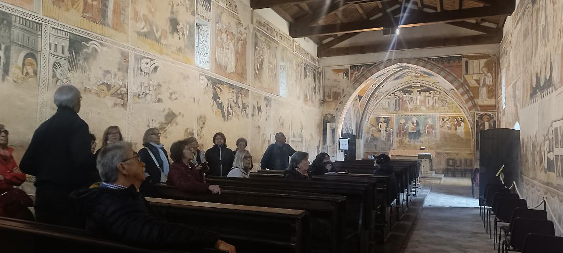San Fiorenzo Web