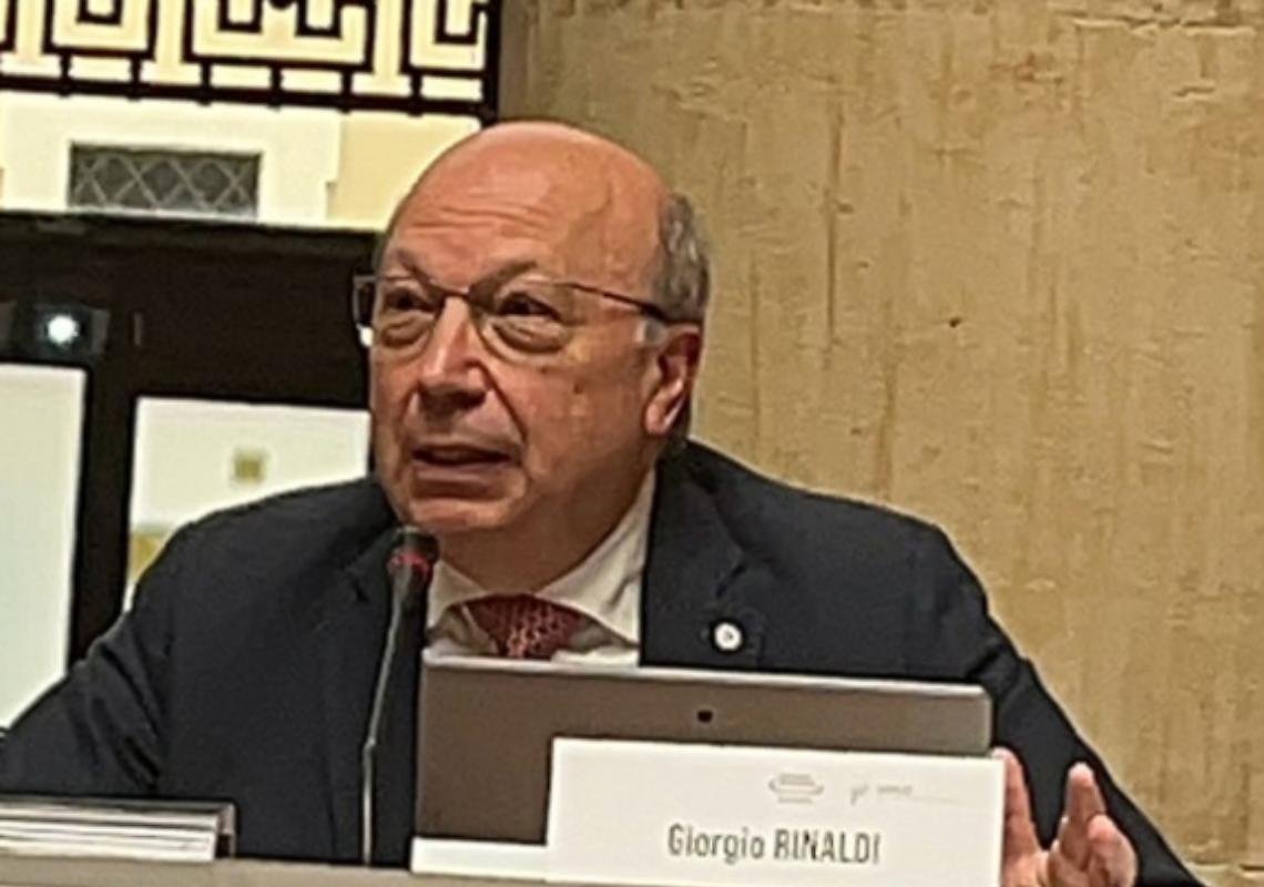 Rinaldi Web