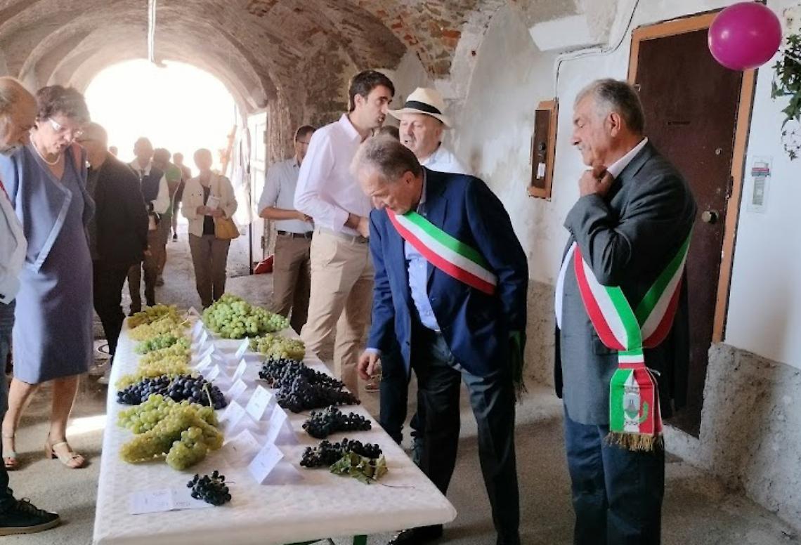 Mostra Uva Bastia