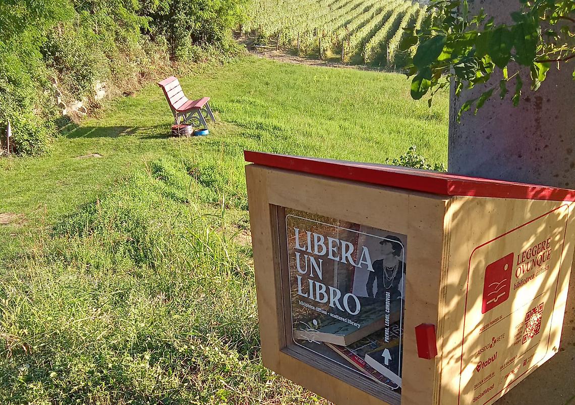 Web Libro Cigliè