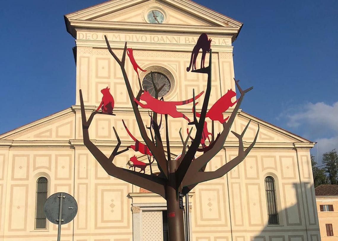 Web Albero Farigliano