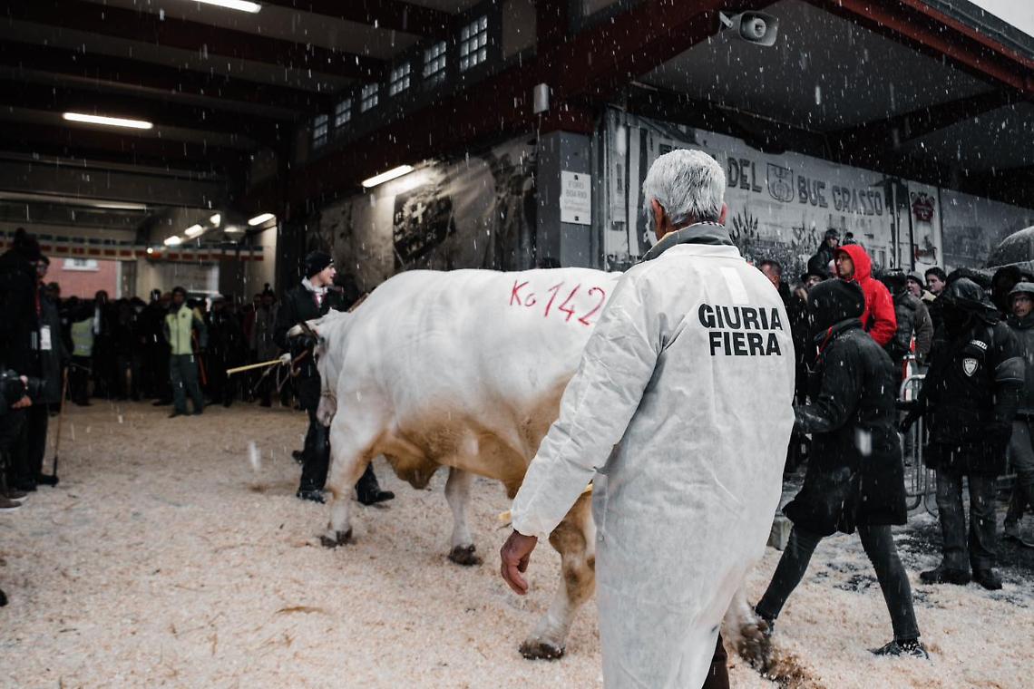 Fiera Del Bue grasso