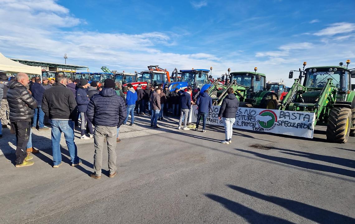 Protesta Cuneo Web