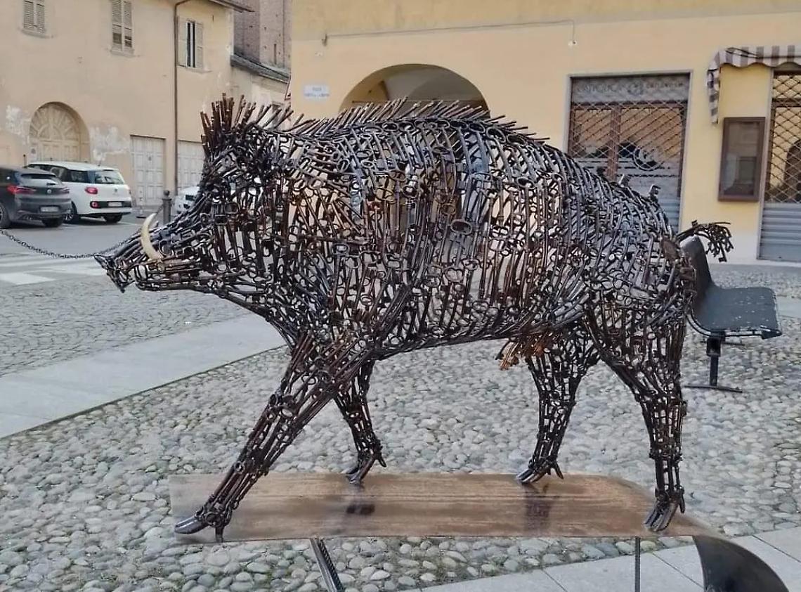 Cinghiale Alessandria Web