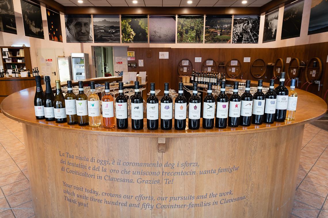 Cantina Web