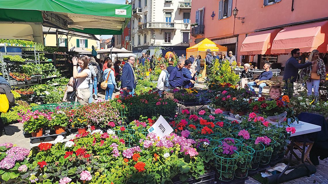 fiera primavera 2024 mondovì programma