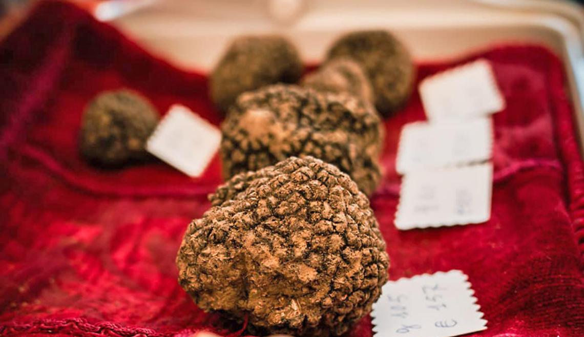 Tartufo