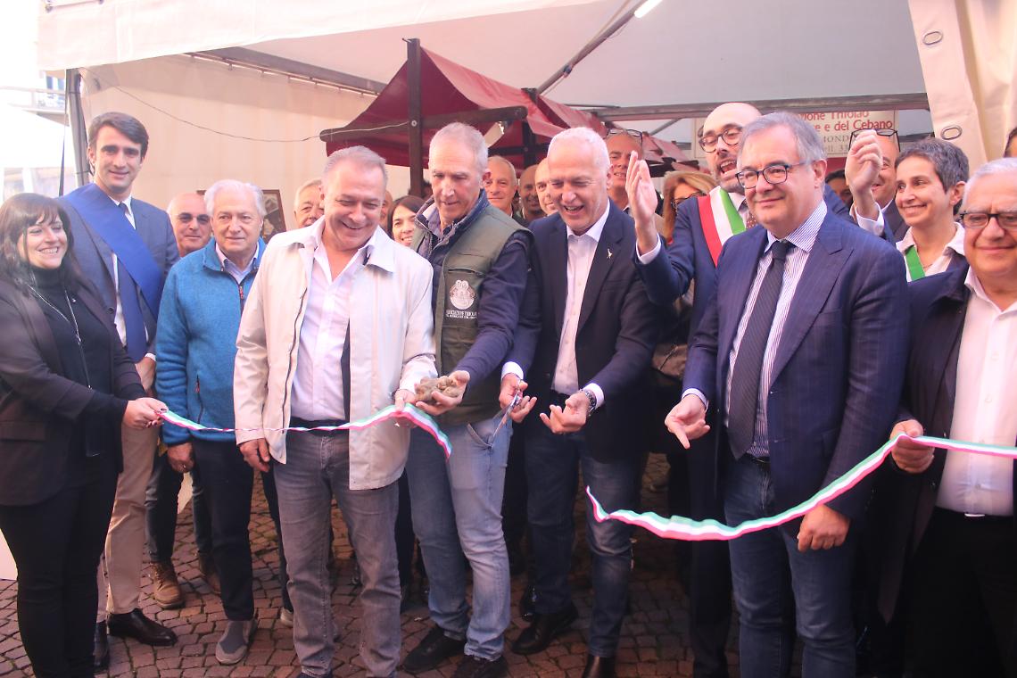 Calici e forchette Mondovì