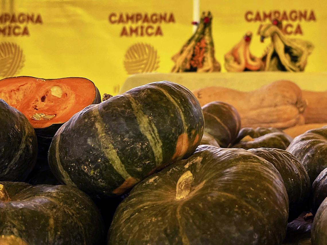 Zucche provincia di Cuneo