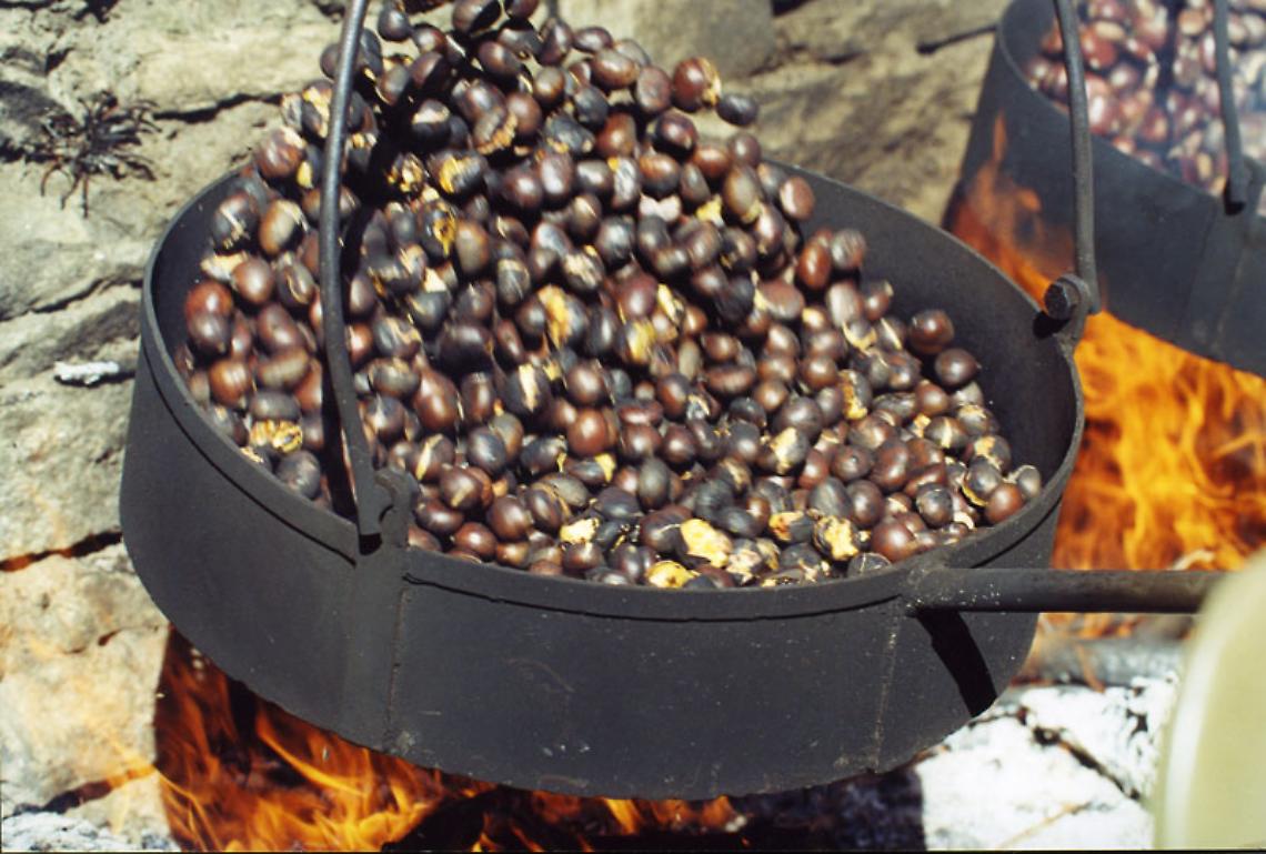 Castagnata 1
