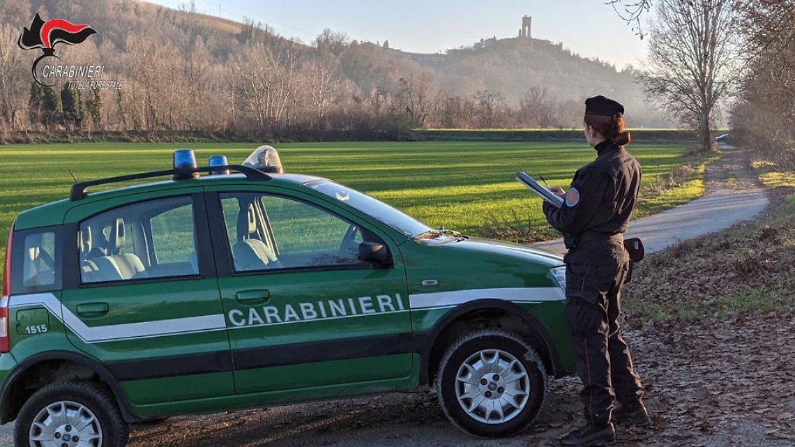Carabinieri-forestali-repertorio