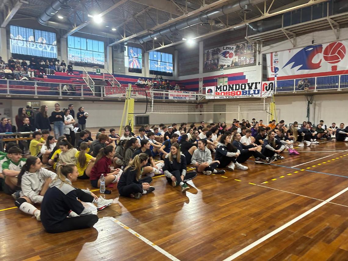 0e198d0c-00ad-460a-9ed1-ed234481f957-a73a0e29