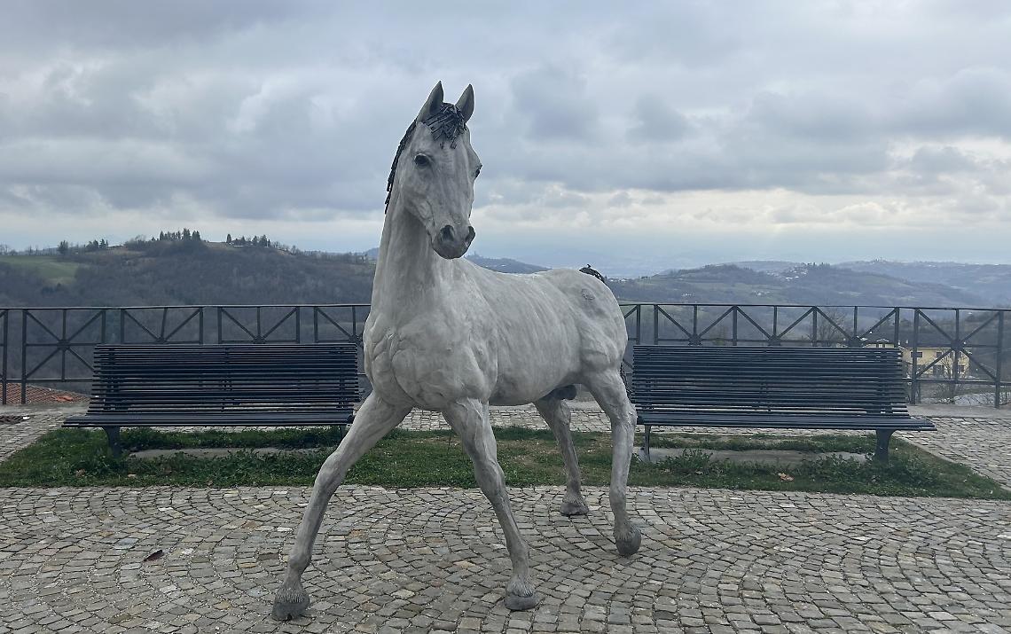 web cavallo
