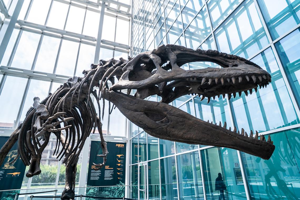 grattacielo regione piemonte dinosauro