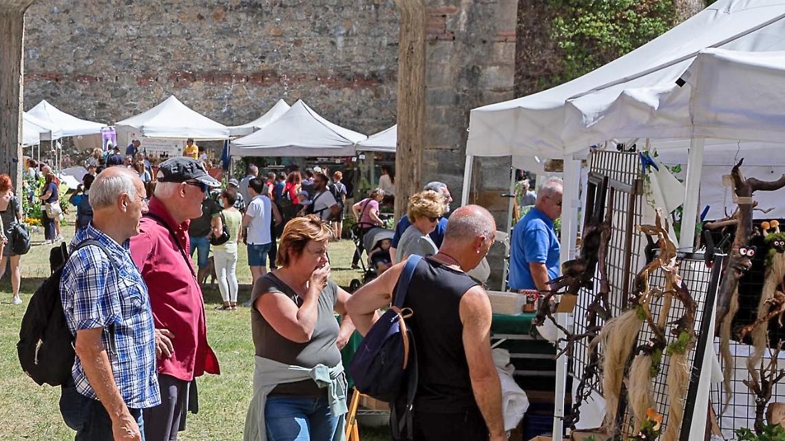 vinadio forte in fiore