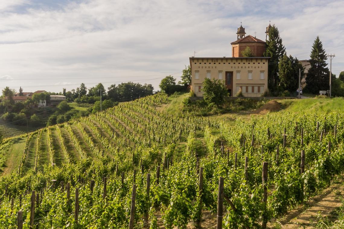 cantina-di-clavesana
