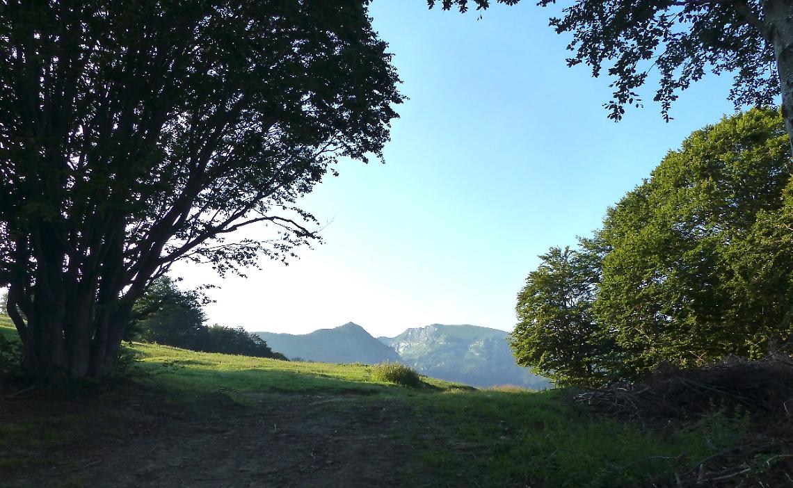 Schermata-del-2018-07-20-16-36-50-3c1a61e4