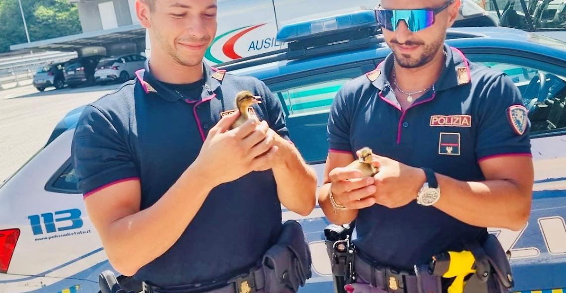 polizia pulcini