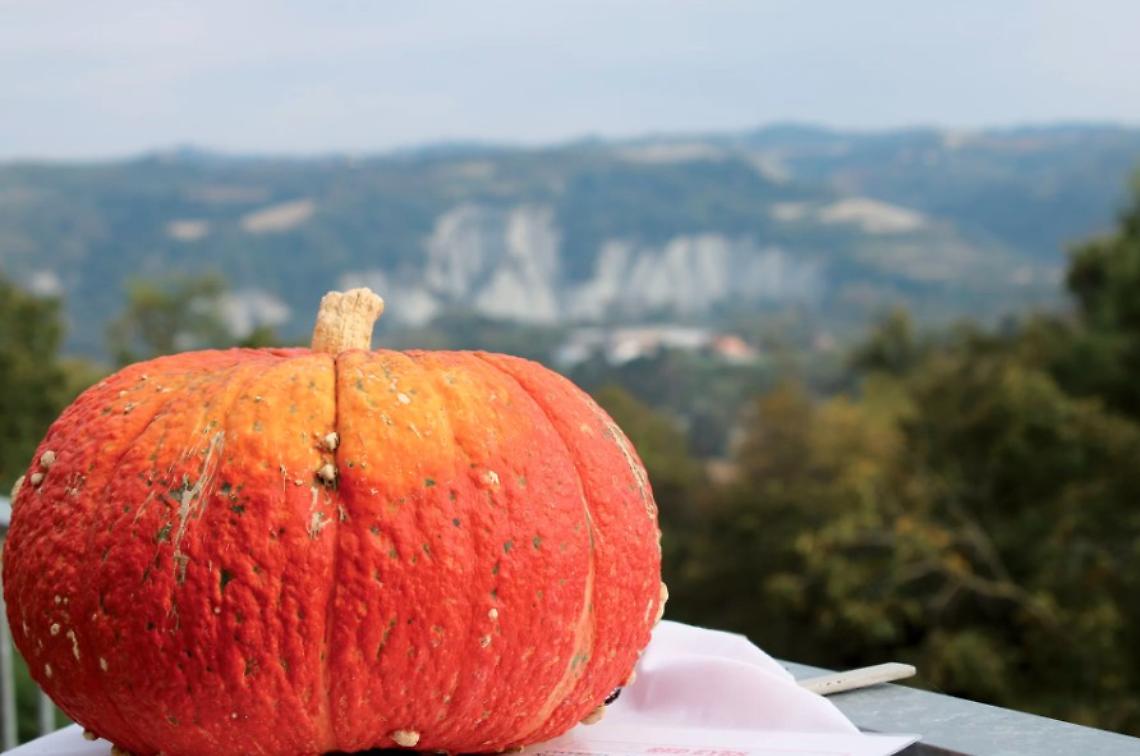 zucca piozzo mattia clerico
