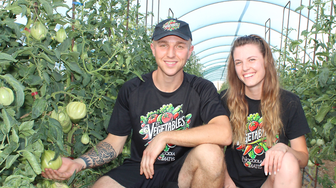 Nella serra di Stefano e Alessia, "influencer" agricoltori