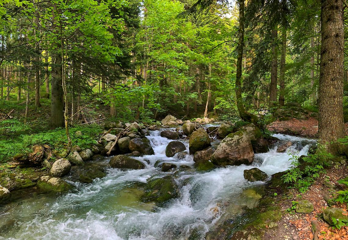 Da sabato 19 luglio si torna a pescare nella riserva Valle Pesio