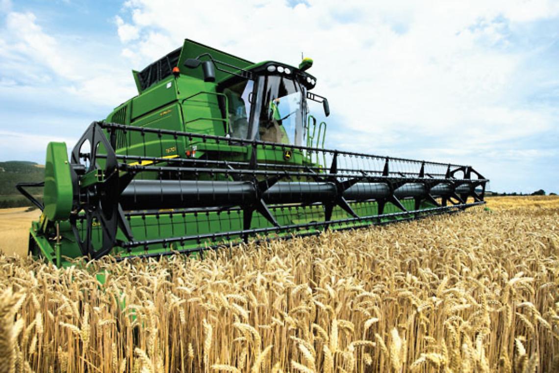 La crisi del grano: prezzi sempre più bassi per gli agricoltori, mentre i costi aumentano