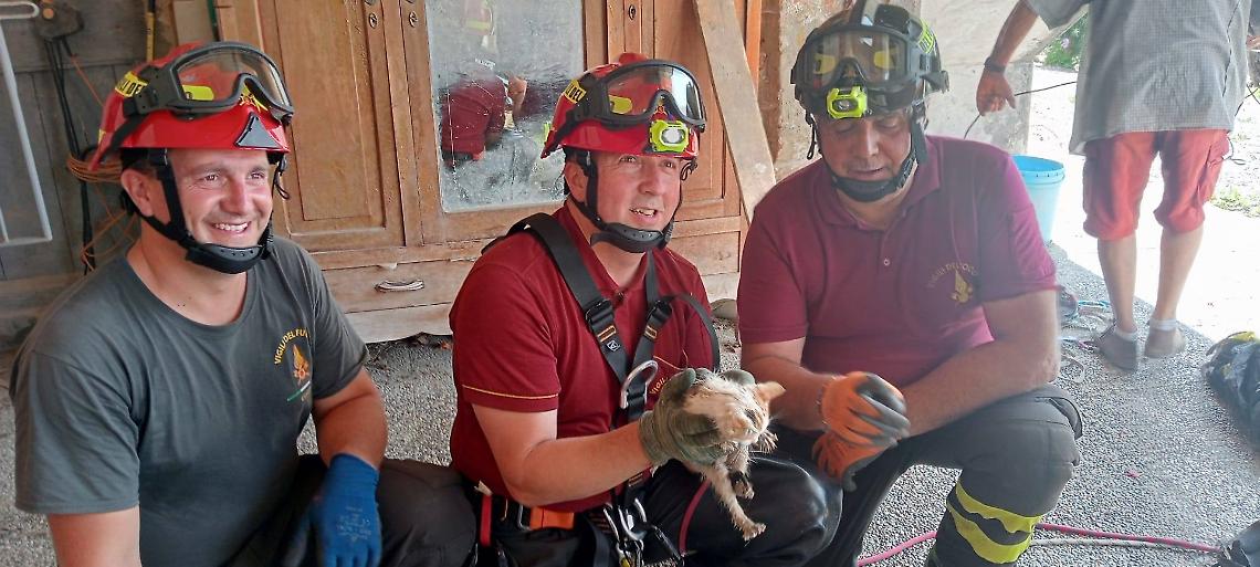 Gattino cade in un pozzo, salvato dai Vigili del Fuoco