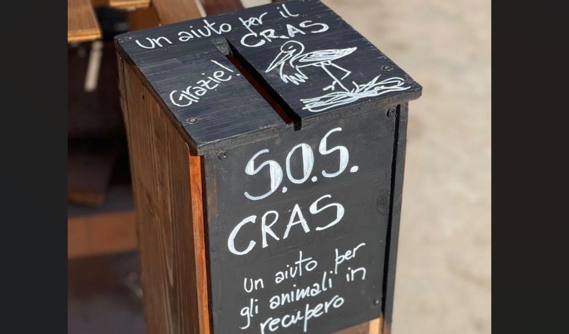 Furto al Cras: rubata la cassetta delle offerte per gli animali selvatici in cura