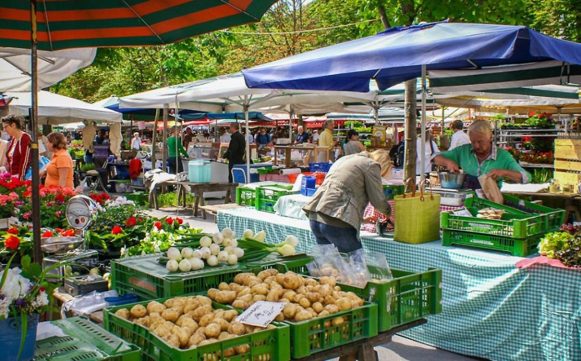 Prosegue la raccolta firme Coldiretti per la trasparenza dal campo alla tavola