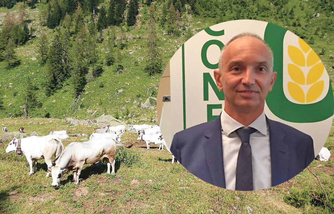 Allarme siccità in quota: Confagricoltura Cuneo chiede una deroga alla discesa delle mandrie
